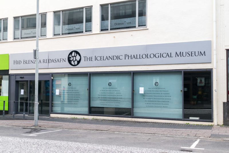 Cool Things to do in Reykjavik: Phallological Museum