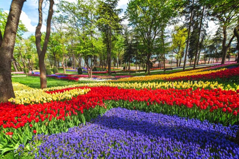 Cool Things to do in Turkey: Istanbul Tulip Festival