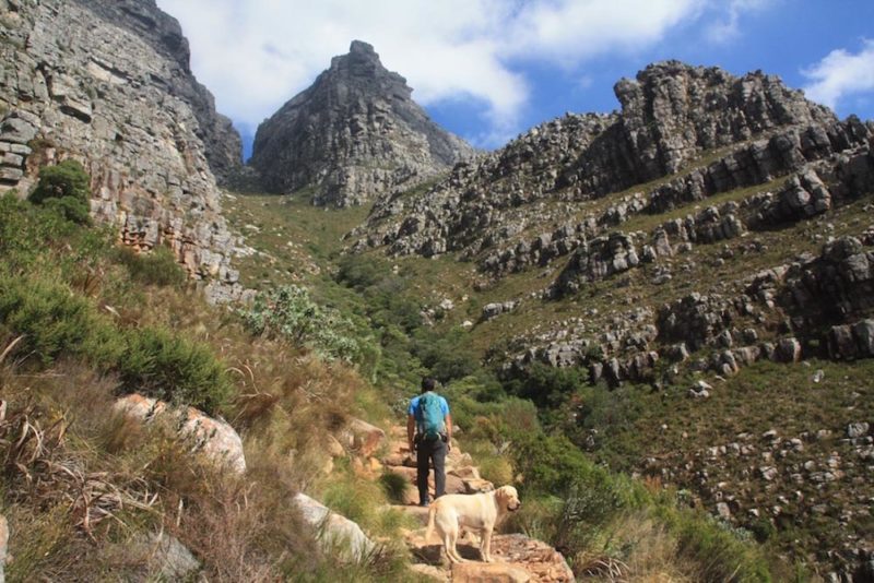 Best Hiking Trails in Cape Town: Platteklip Gorge