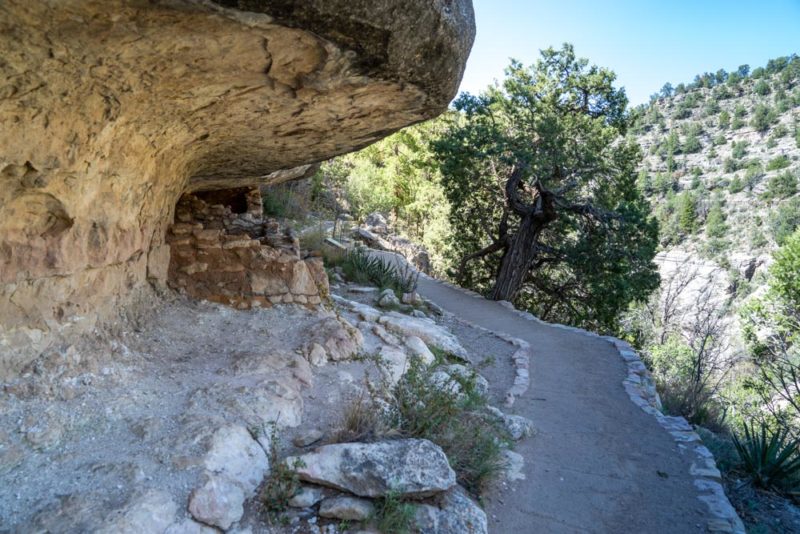 Fun Things to do in Flagstaff: Walnut Canyon National Monument