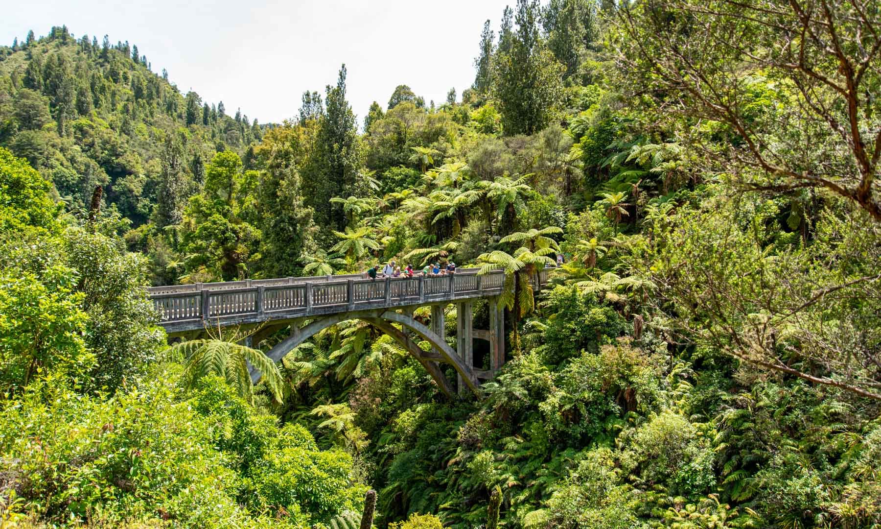 Guide to the Whanganui Journey in New Zealand