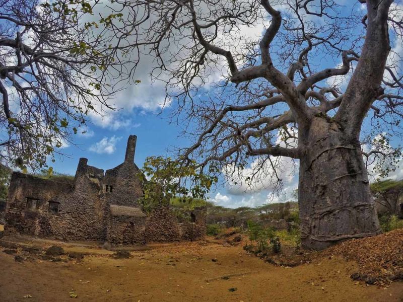 Kenyan Coast Top Sights: Takwa Ruins
