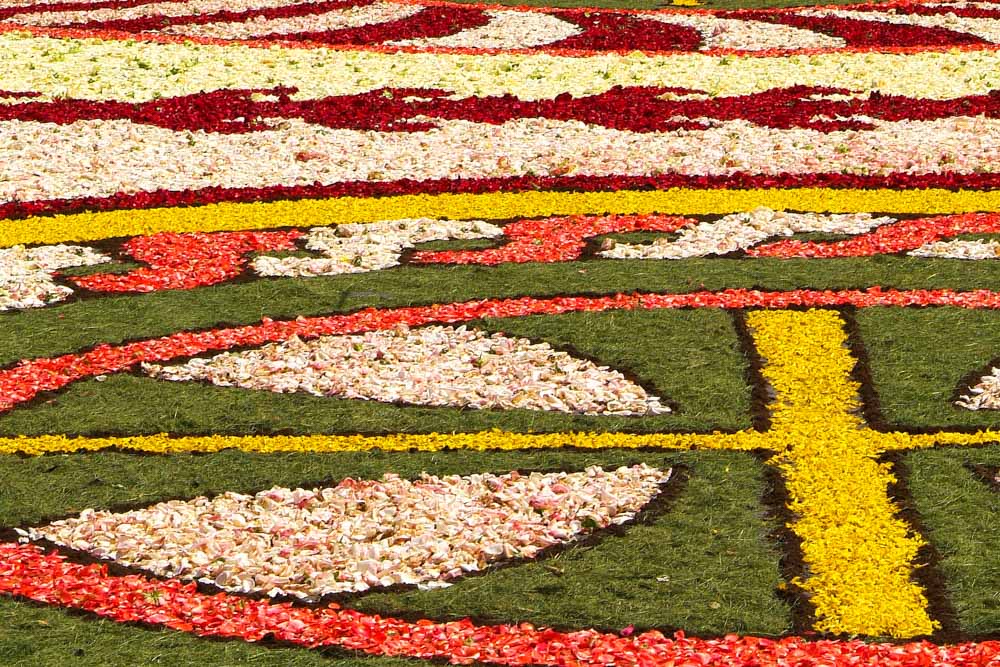 Must do things in Italy: Infiorata Festival