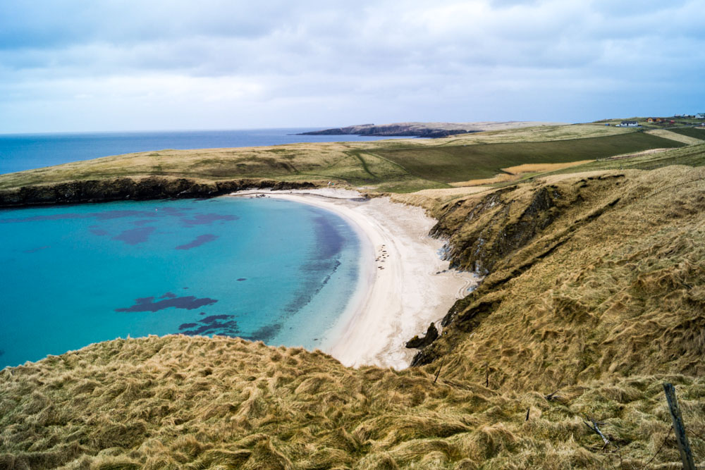 Scotland Things to do: Wildlife spotting in the Shetland Islands
