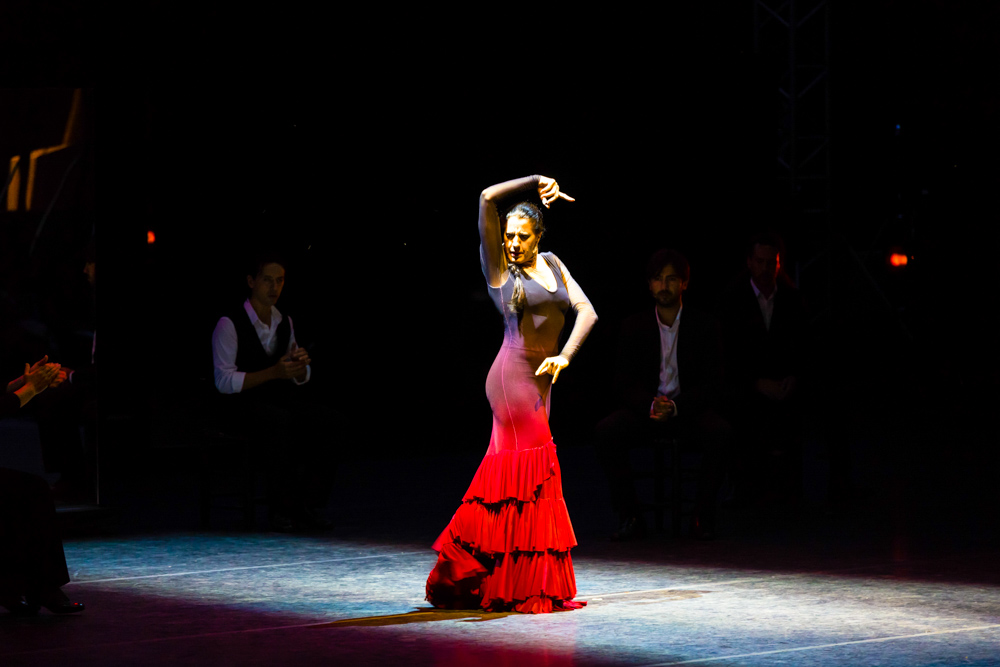 Unique Things to do in Spain: Flamenco show in Seville