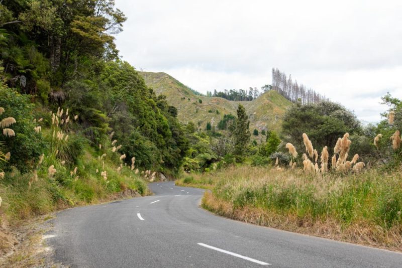 Whanganui Journey: New Zealand