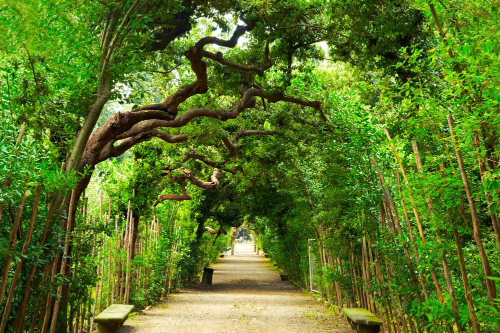 What to do in Florence: Boboli Gardens