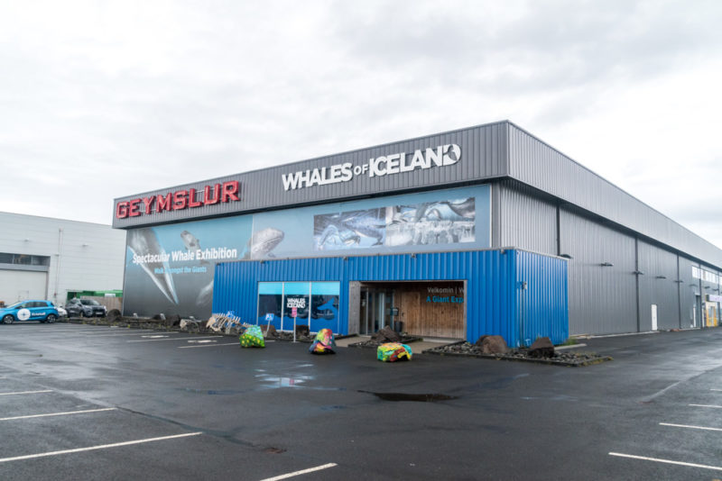 What to do in Reykjavik: Europe’s largest whale exhibition