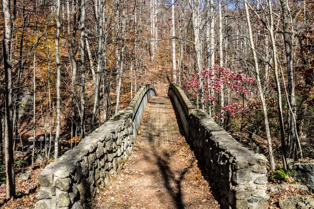 Best Things to do in Charlottesville: Hike to Crabtree Falls