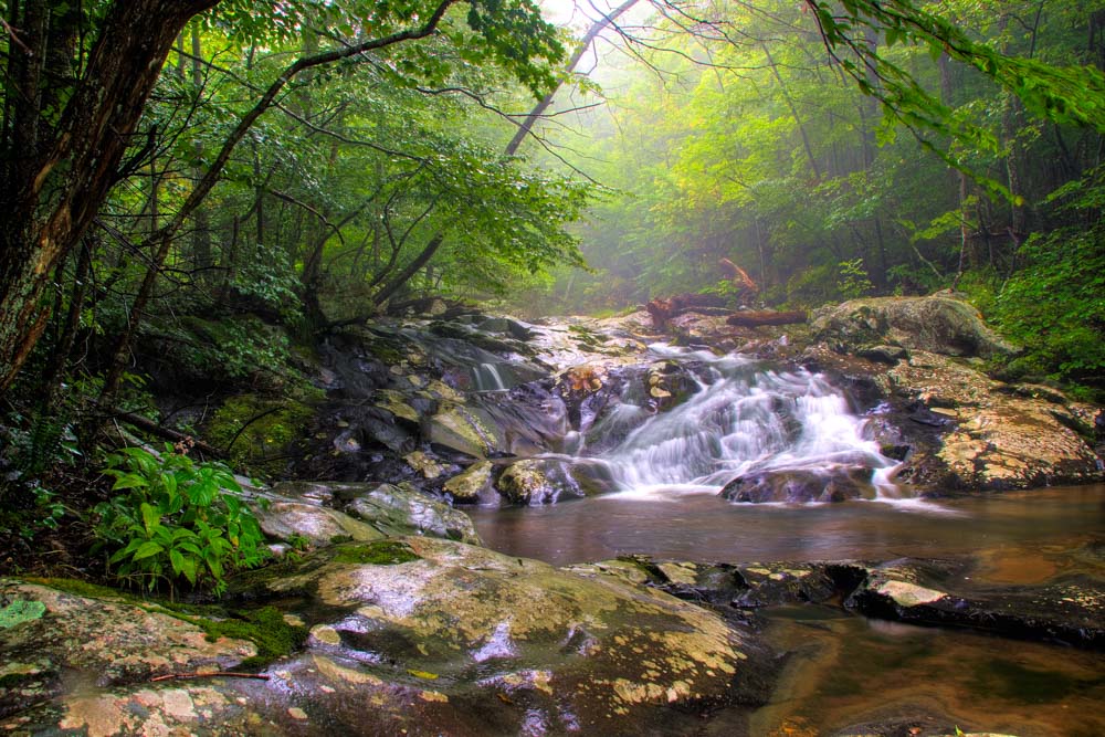 Best Things to do in Charlottesville: Shenandoah National Park