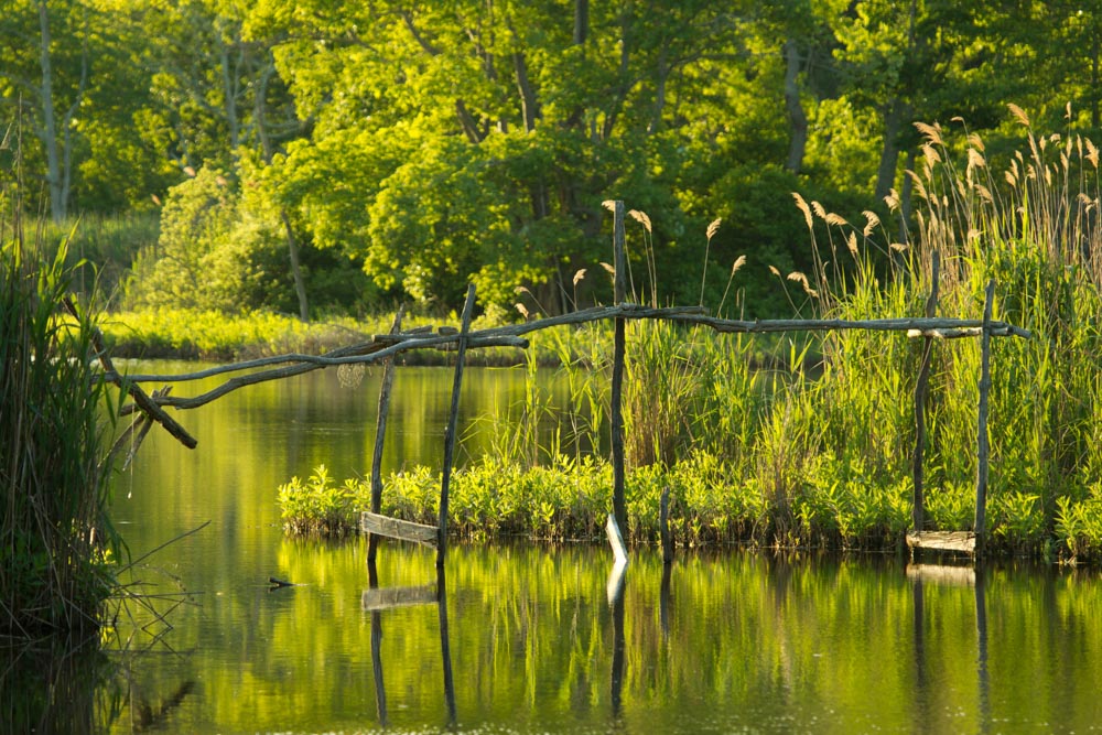 Best Things to do in Hamptons: Mashomack Nature Preserve