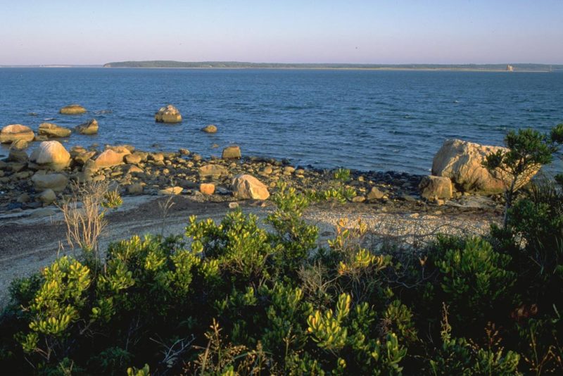 Cool Things to do in Hamptons: Mashomack Nature Preserve
