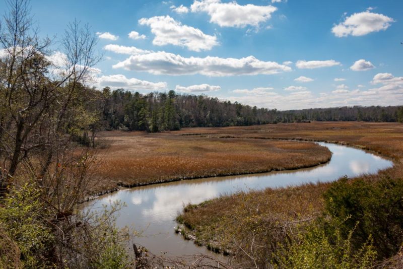 Cool Things to do in Williamsburg: York River State Park