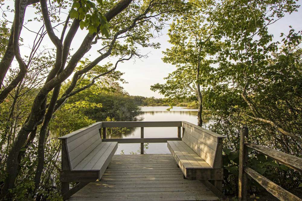 Fun Things to do in Hamptons: Quogue Wildlife Refuge