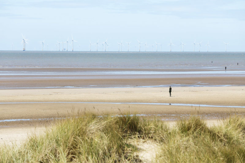 Fun Things to do in Liverpool: Sculptures at Crosby Coastal Park