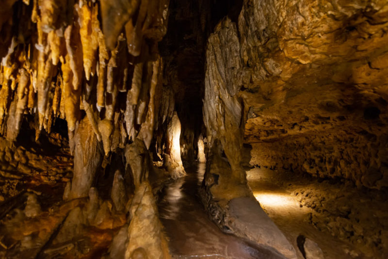 Must do things in Wisconsin: Cave of the Mounds