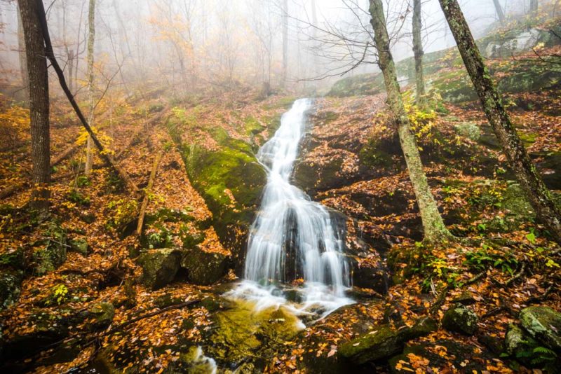 Unique Things to do in Charlottesville: Hike to Crabtree Falls