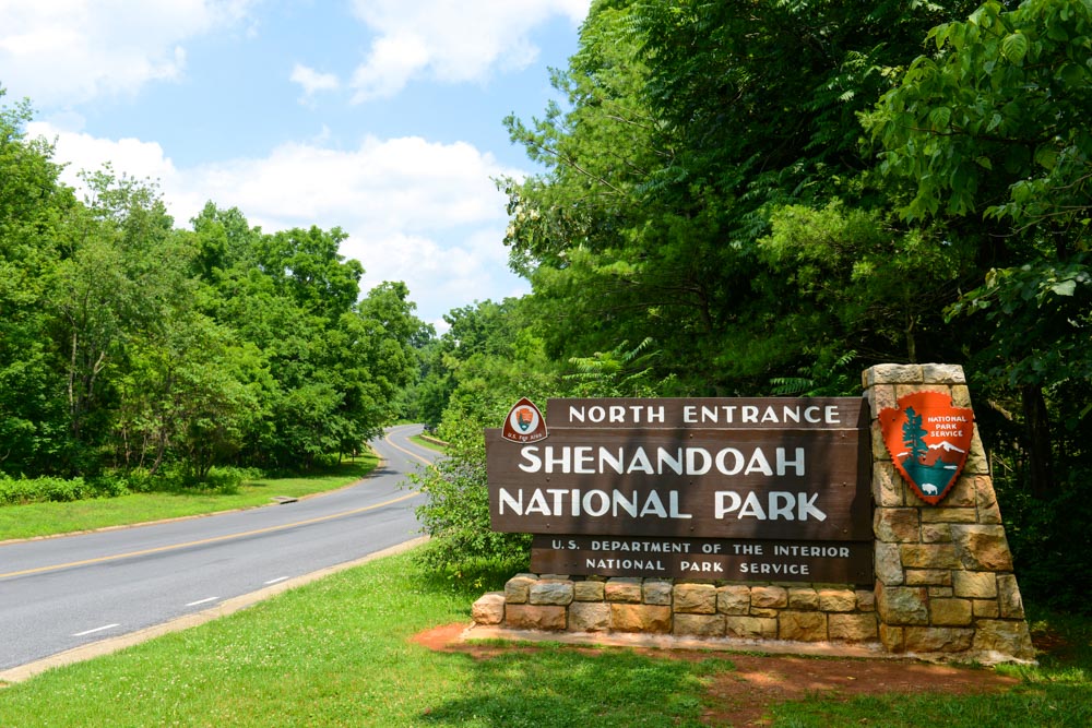 What to do in Charlottesville: Shenandoah National Park