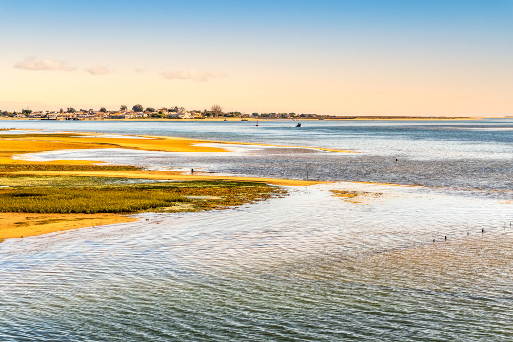 What to do in Portugal: Birdwatching at the Ria Formosa Natural Park