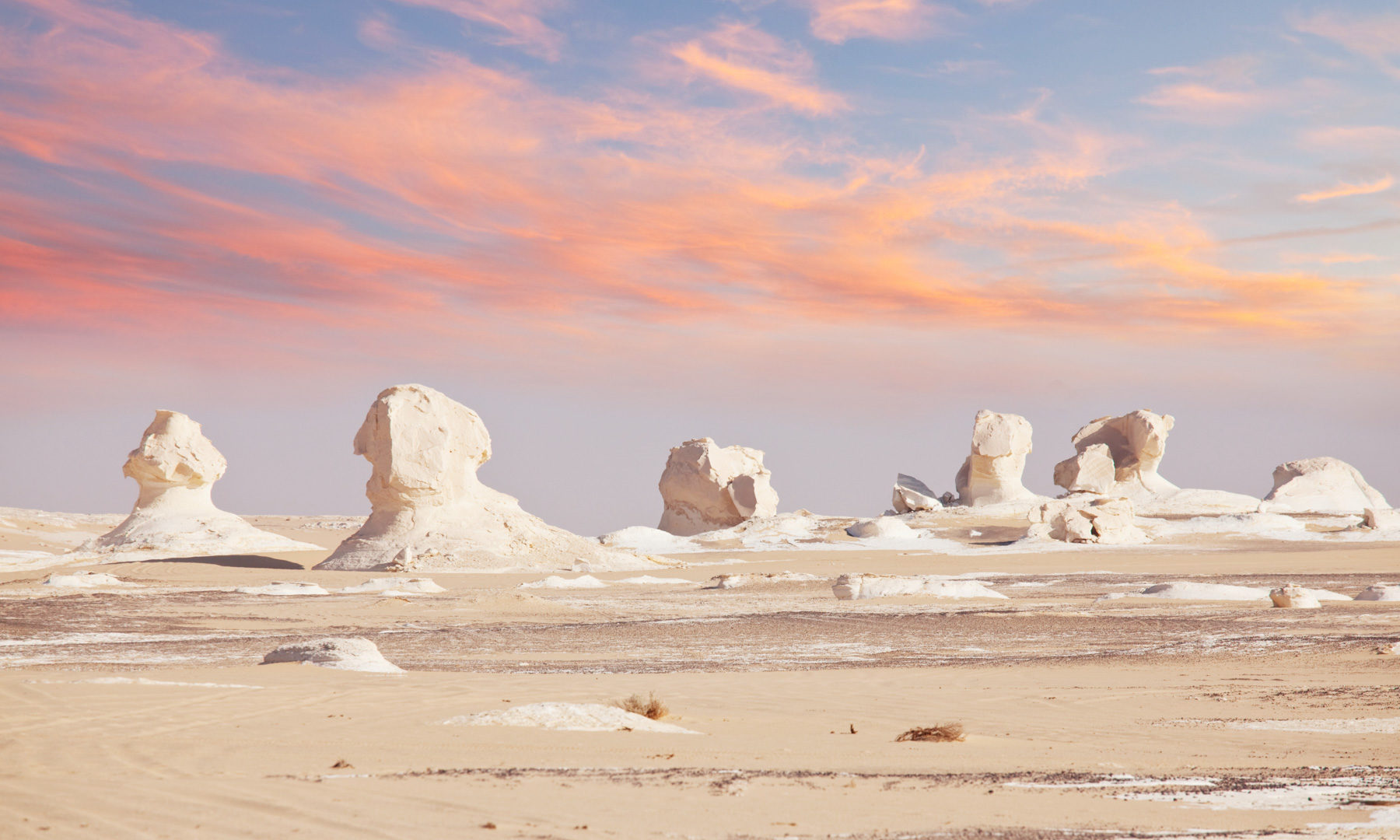 What to Expect on a White Desert Tour in Egypt