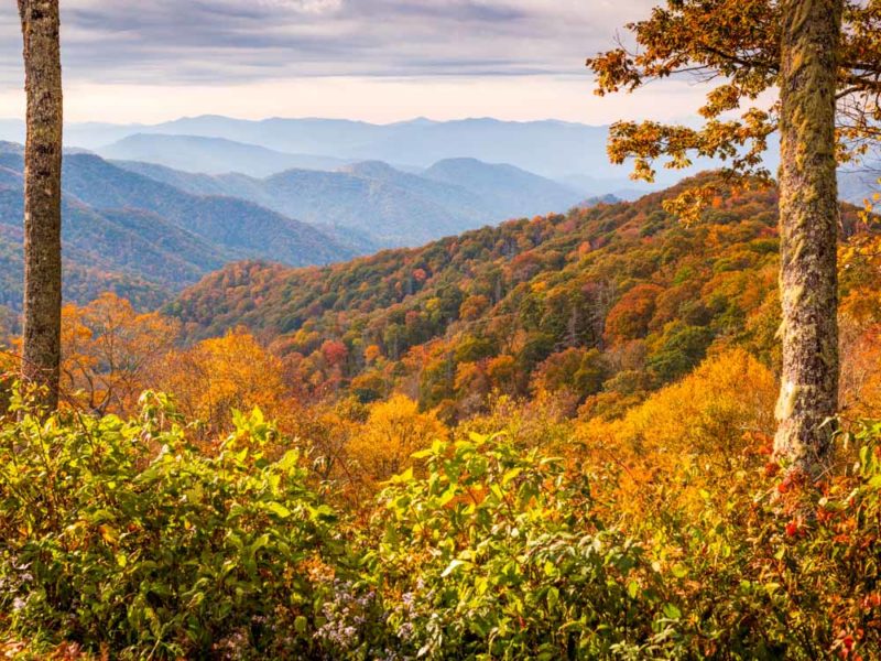 Where to Stay in Gatlinburg, Tennessee: Best Hotels