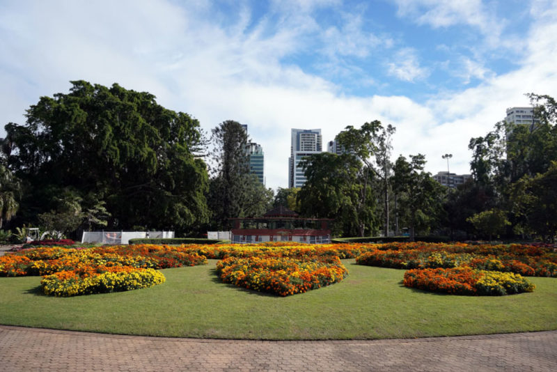 Brisbane Things to do: Botanic Gardens
