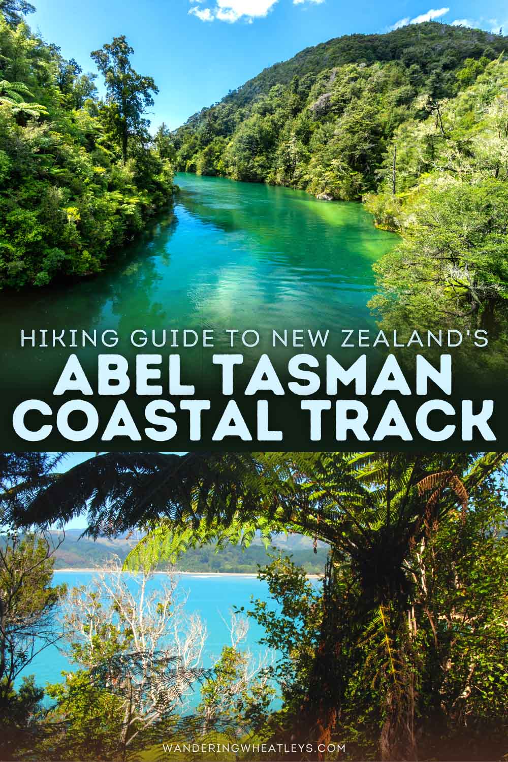 Abel Tasman Coastal Track, NZ Hiking Guide