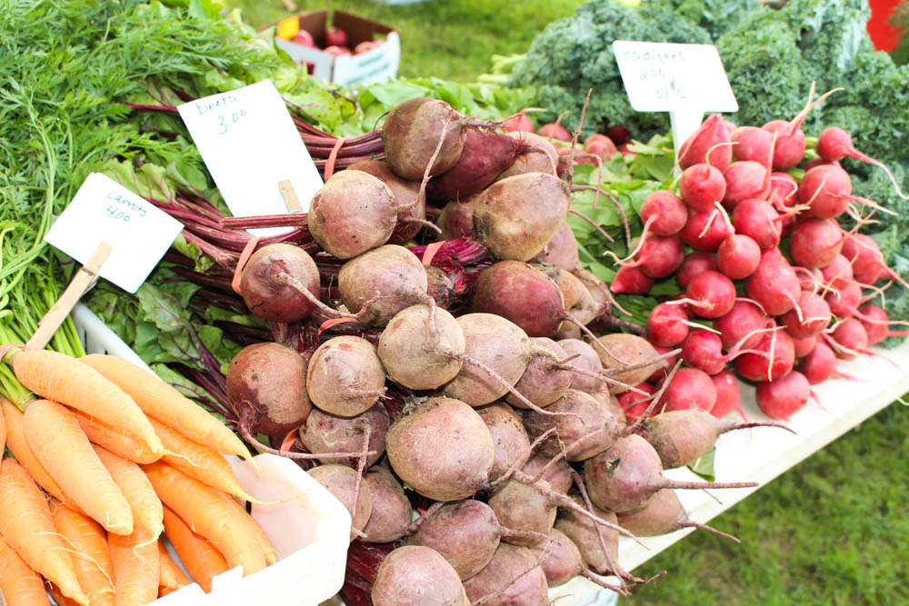 Best Things to do in Cape Cod: Wellfleet Farmers’ Market