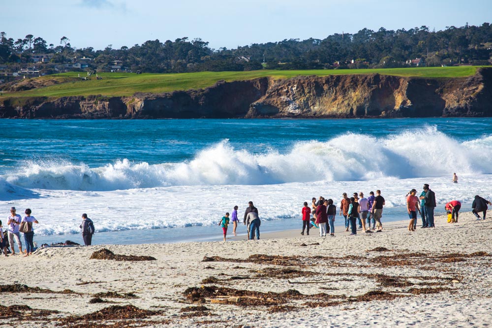 Best Things to do in Carmel-by-the-Sea: Beach Day