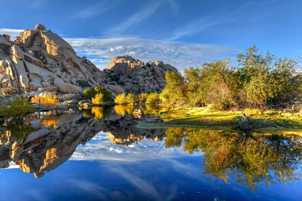 The 15 Best Things to Do in Joshua Tree National Park – Wandering Wheatleys