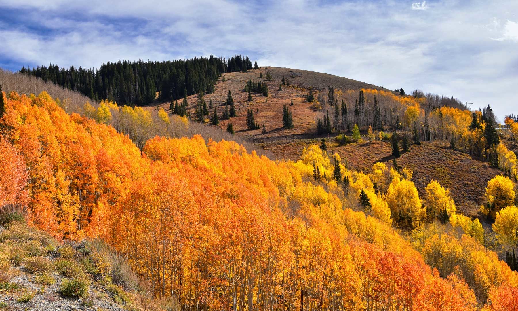 The Best Things to do in Park City, Utah