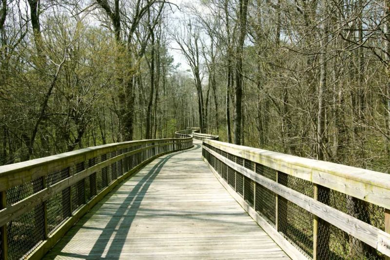 Best Things to do in Raleigh: Neuse River Greenway