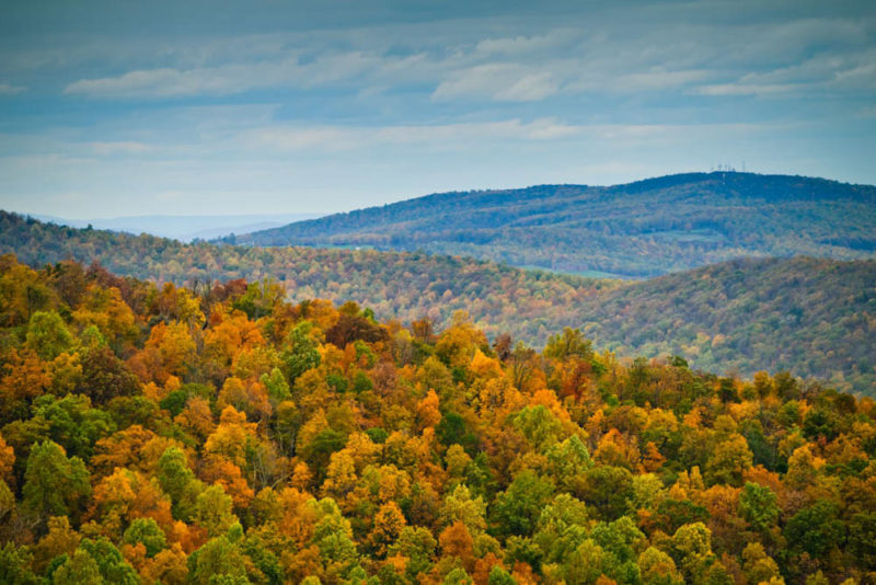 Best Things to do in Virginia: Shenandoah National Park