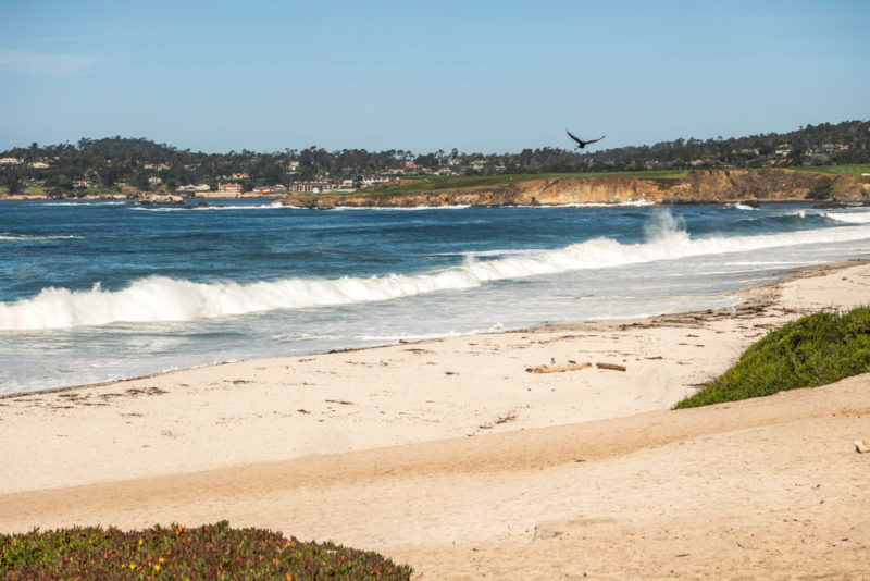 Cool Things to do in Carmel-by-the-Sea: Beach Day