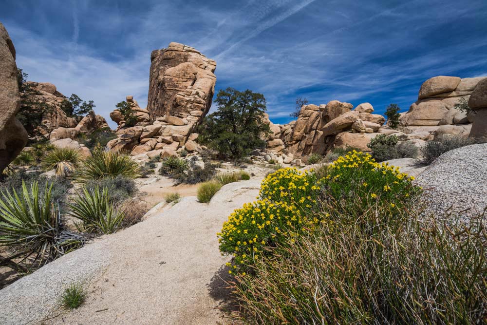 Cool Things to do in Joshua Tree: Hidden Valley