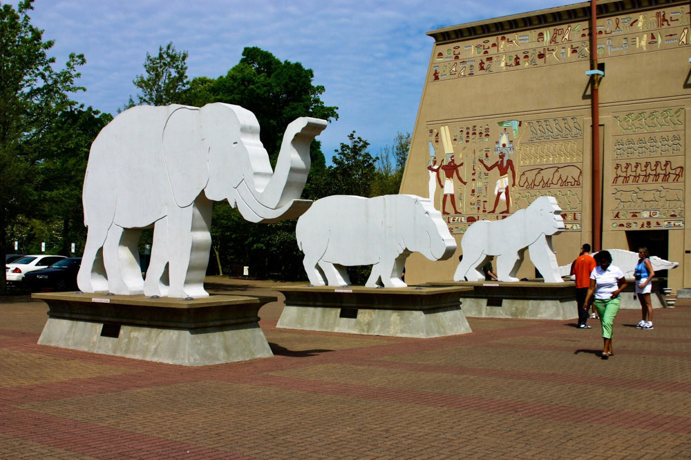 Cool Things to do in Memphis: Memphis Zoo