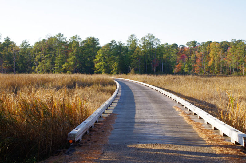 Cool Things to do in Virginia: Jamestown Island Drive