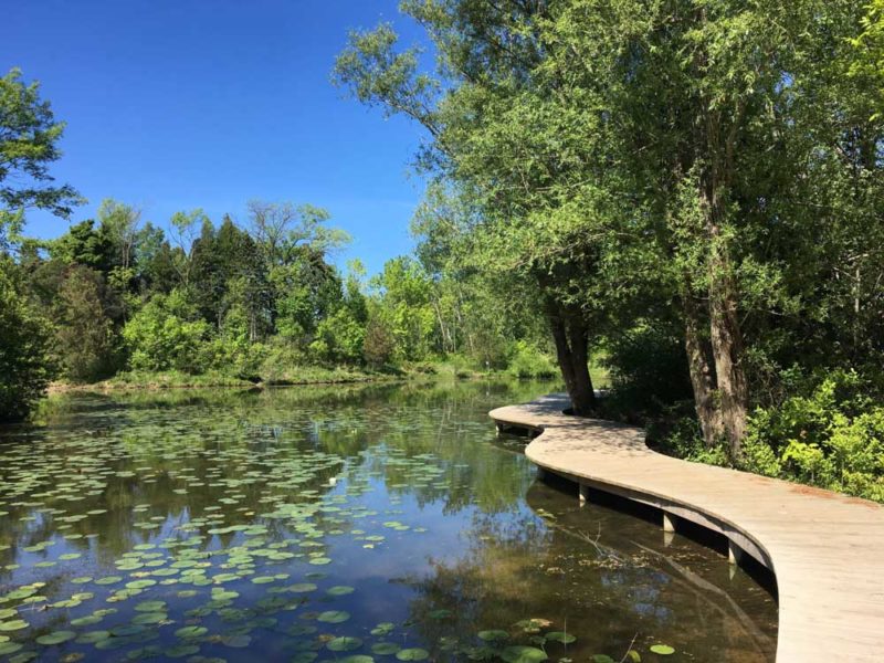 Cool Things to do in Wisconsin: Schlitz Audubon Nature Center