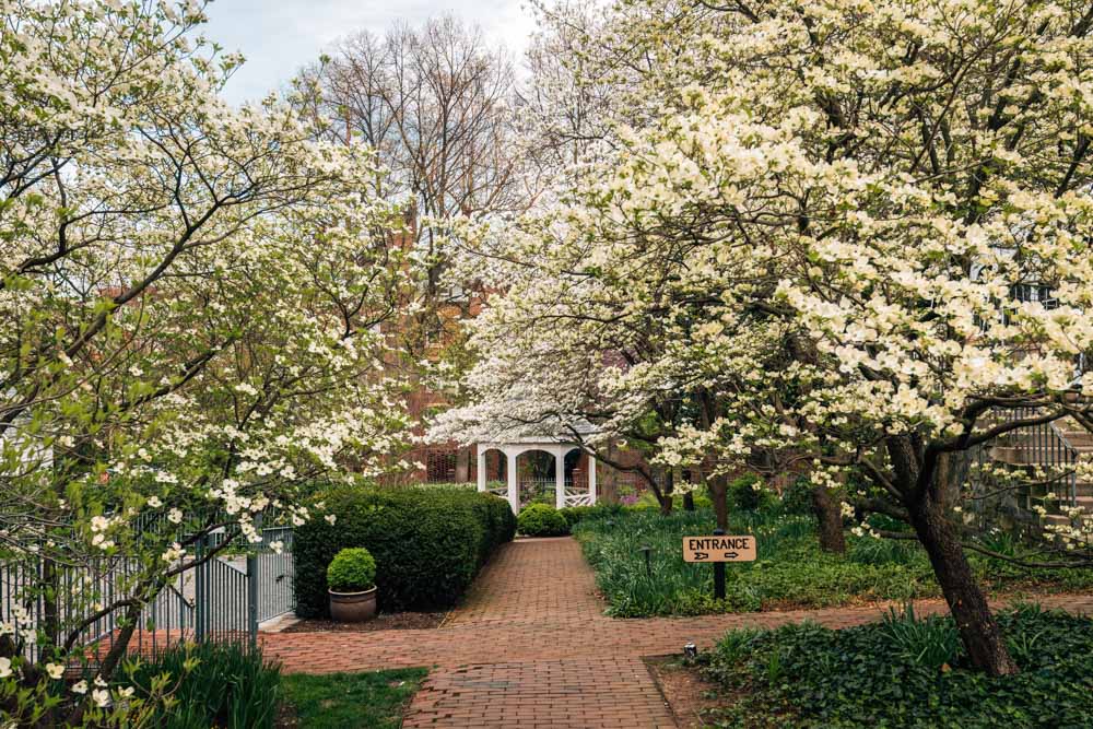 Fun Things to do in Alexandria: Carlyle House Historic Park