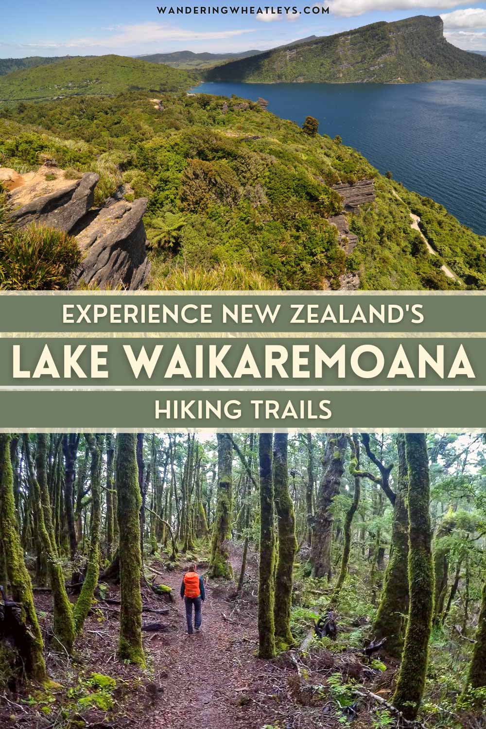 Hiking the Waikaremoana Track, New Zealand.