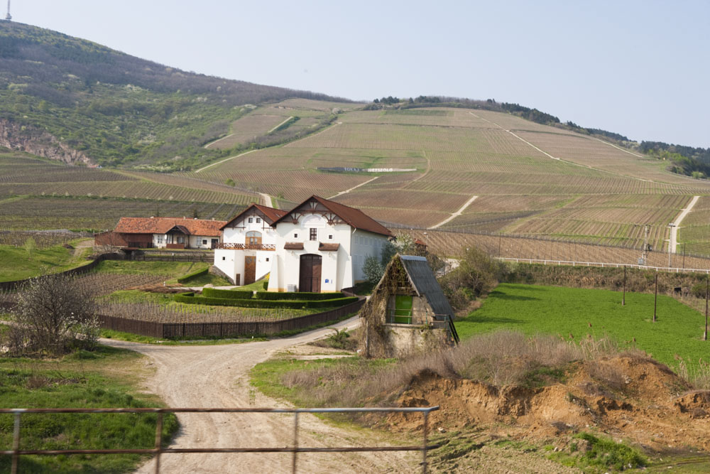 Hungary Things to do: Tokaj wine region
