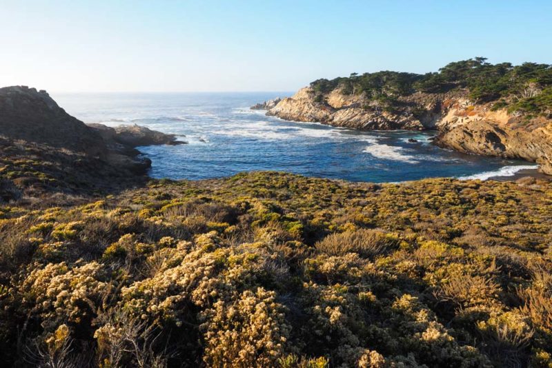 Must do things in Carmel-by-the-Sea: Hike in Point Lobos State Natural Reserve