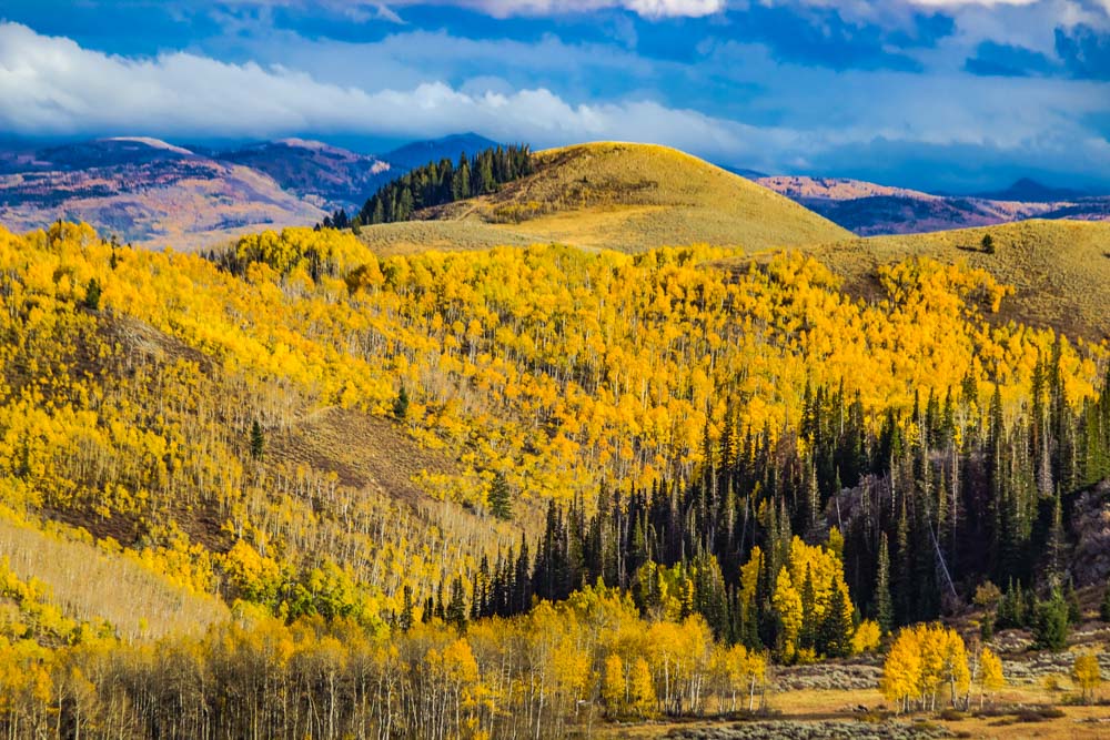 Park City Things to do: Guardsman Pass Scenic Backway