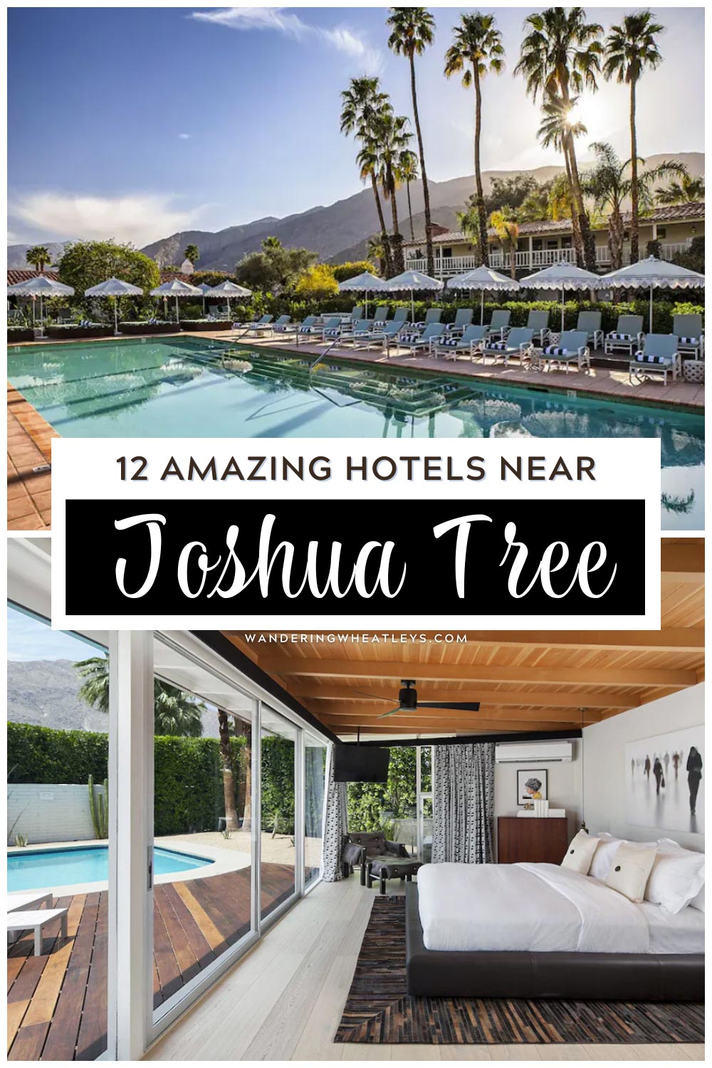 The Best Hotels near Joshua Tree National Park