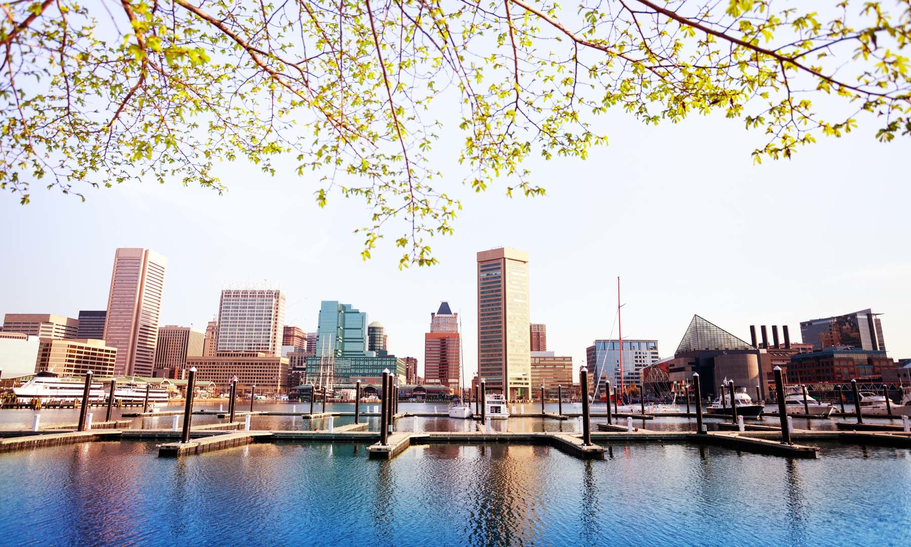The Best Things to do in Baltimore, Maryland