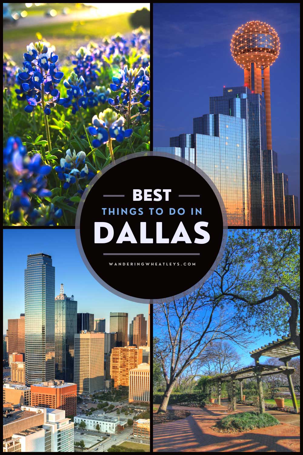 The Best Things to do in Dallas