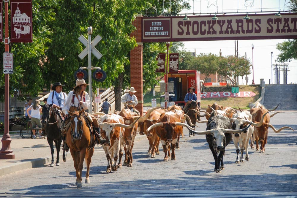 Unique Things to do in Dallas: Fort Worth Stockyards