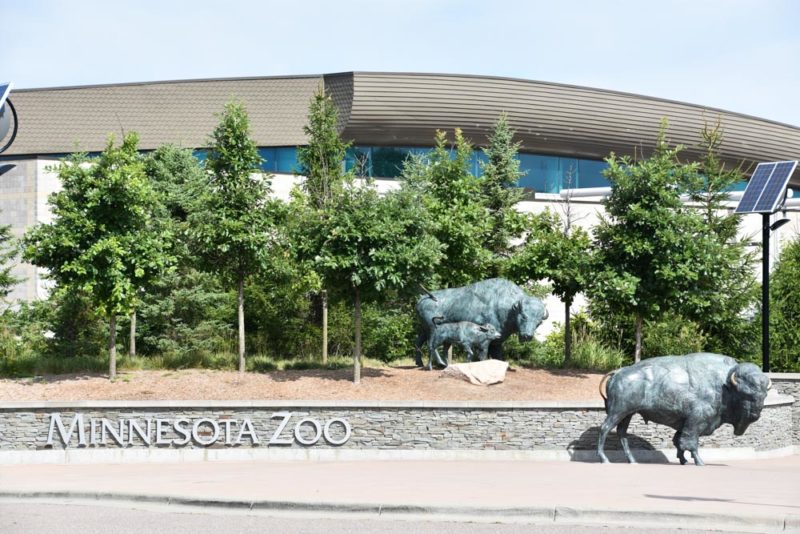 Unique Things to do in Minneapolis: Minnesota Zoo
