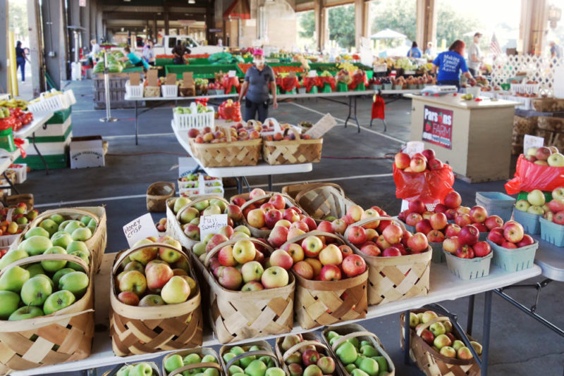 Unique Things to do in Raleigh: NC State Farmers Market