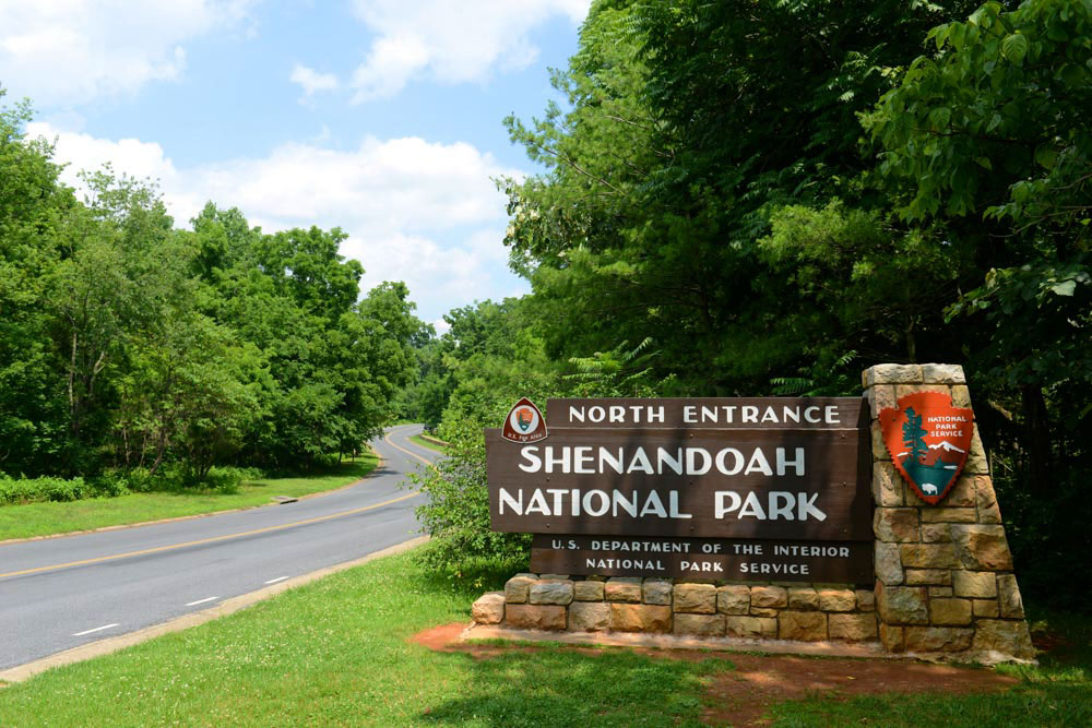 Unique Things to do in Virginia: Shenandoah National Park